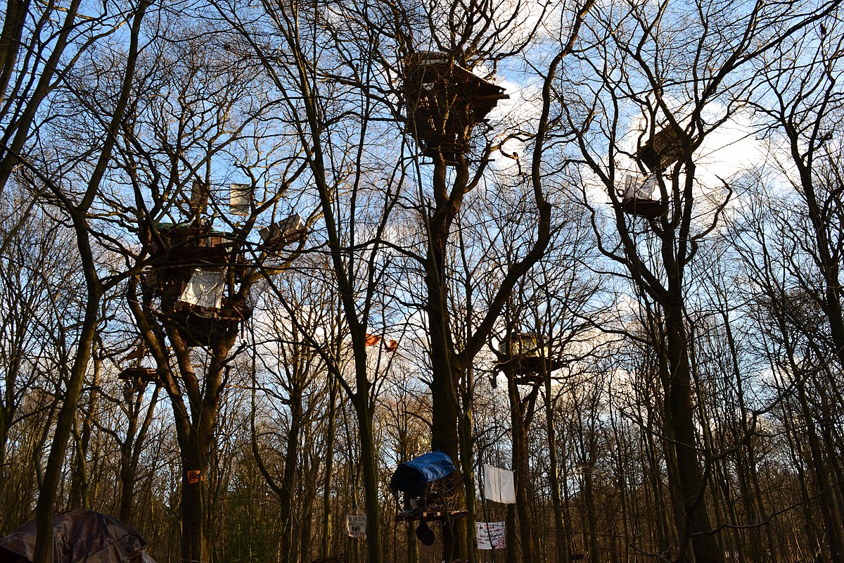 Baumhäuser im Hambacher Wald